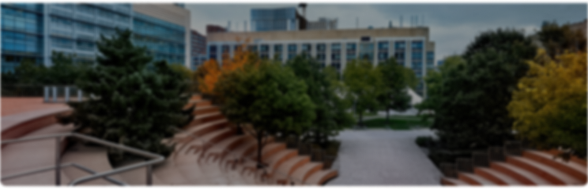 banner image
